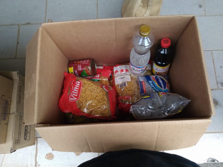 Doação de alimento junto com o clube de mães – Capítulo Sete Lagoas nº 295
